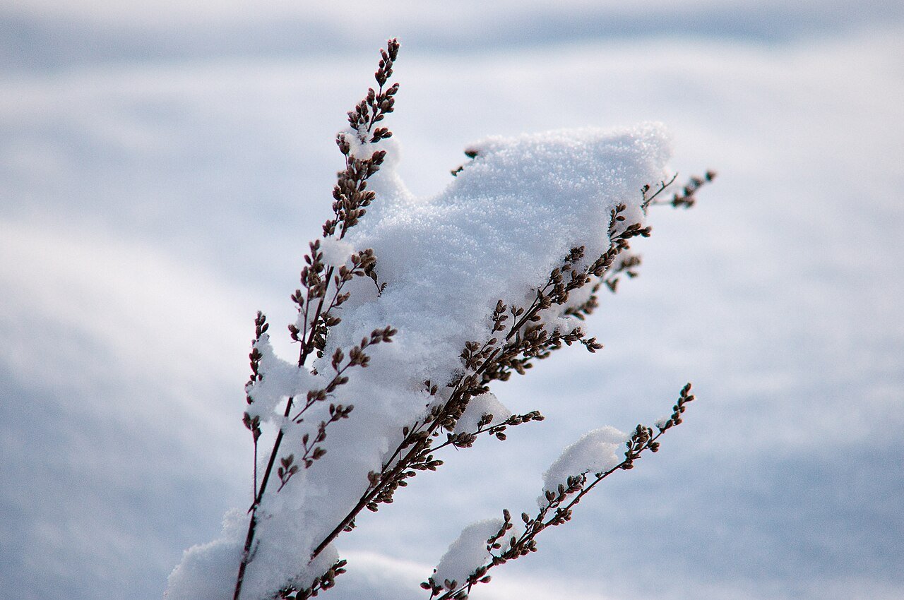 Norway in January: What to Expect and How to Plan