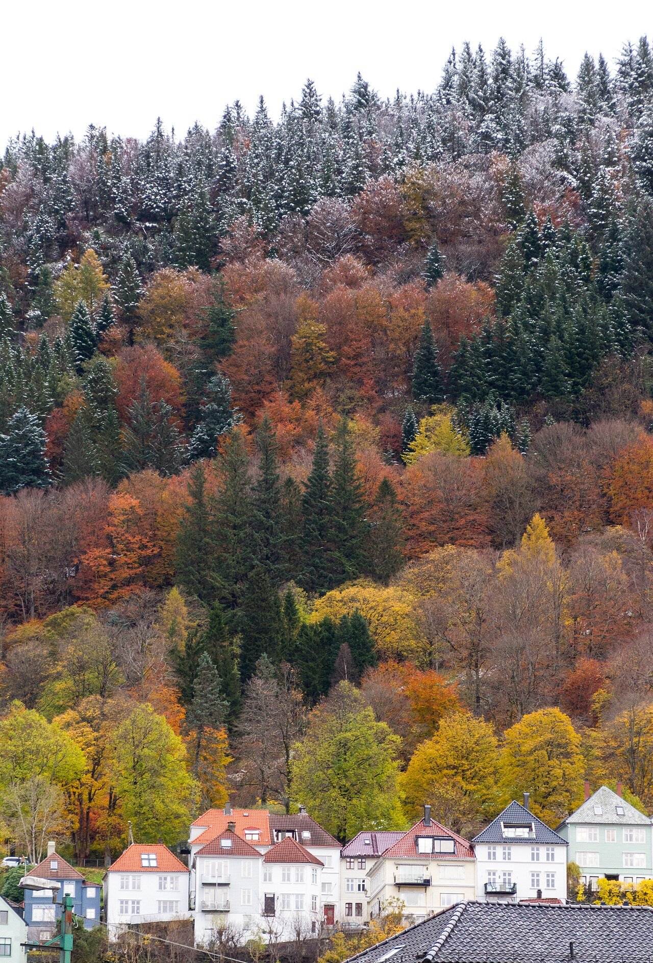 Norway November Travel Guide