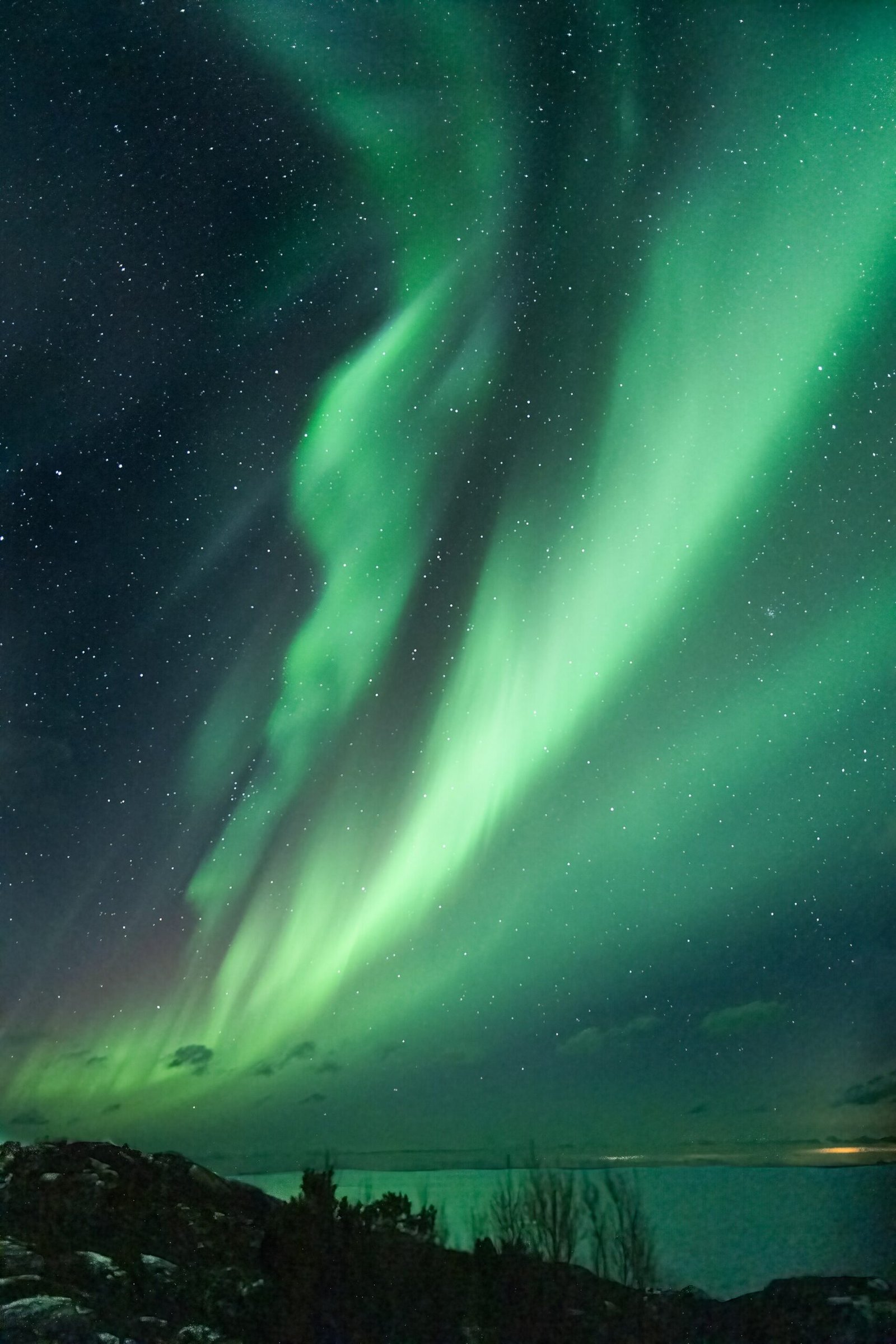 Best Time to Visit Norway for Northern Lights: Month by Month